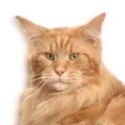 Fribanikos Al Capone