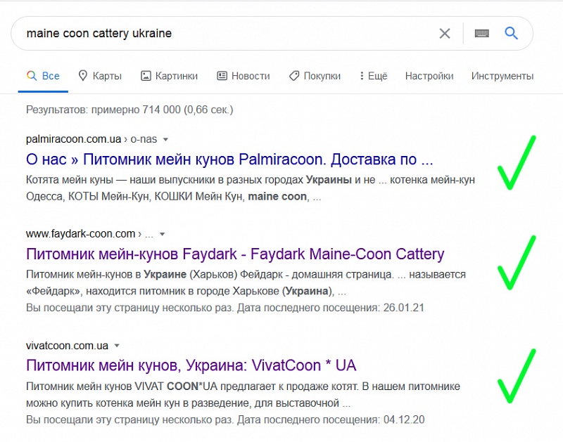 Scammers in internet