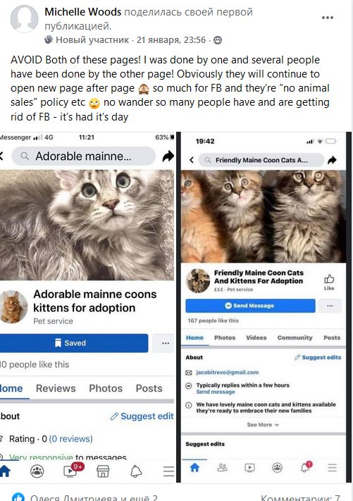Scammers in internet