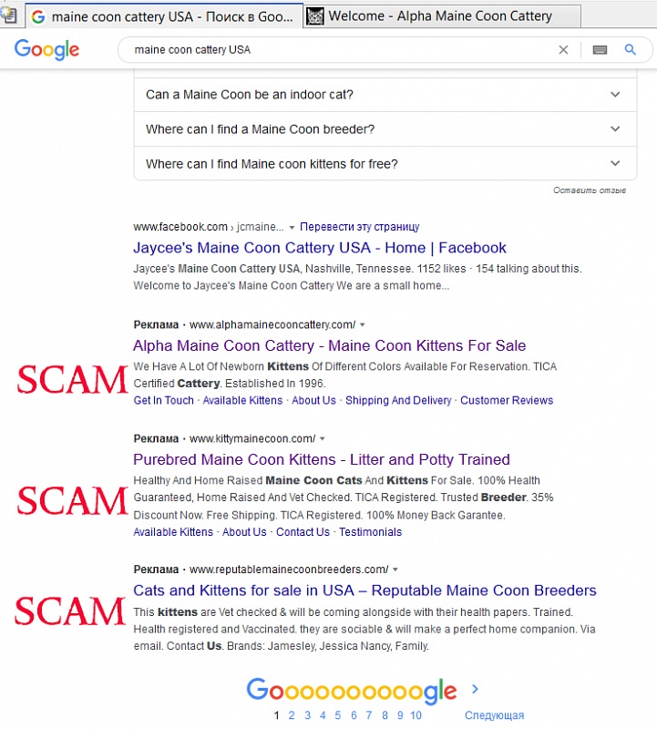 Scammers in internet