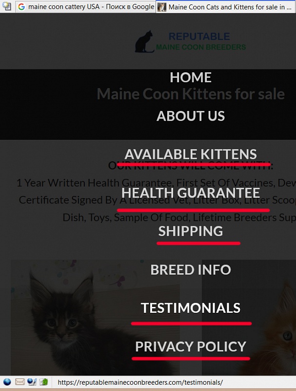 Scammers in internet