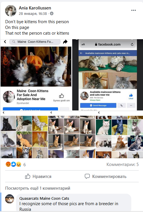 Scammers in internet