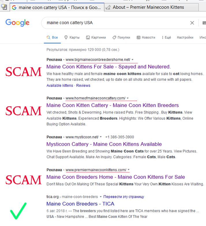 Scammers in internet